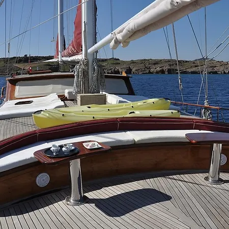 Onelli Yachting - Palmyra *